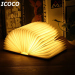 Book Lamp Night