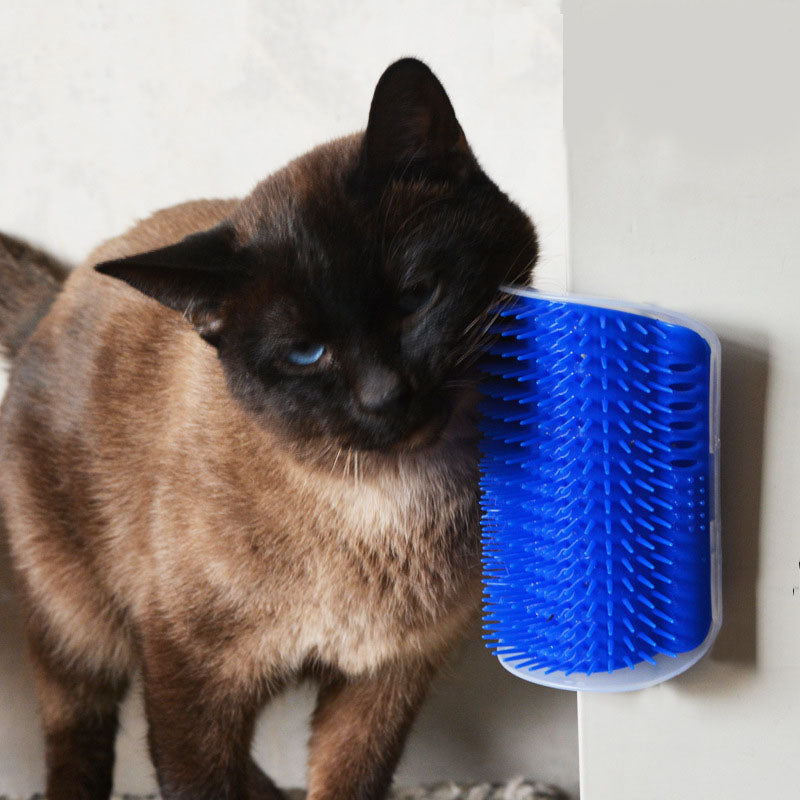 Cats Brush Corner