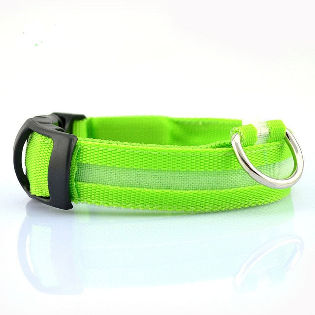 Glow Pet Collar