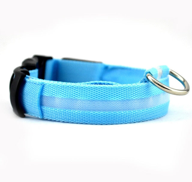 Glow Pet Collar