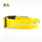 Glow Pet Collar