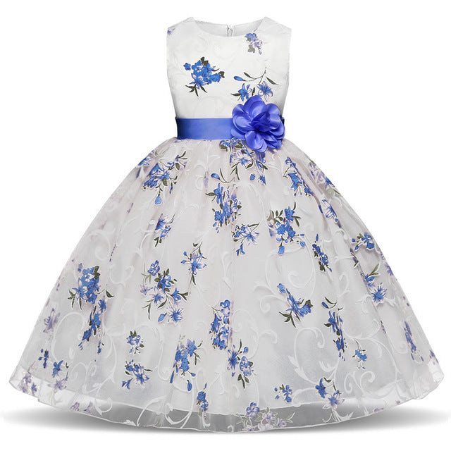 Baby Princess Dresses