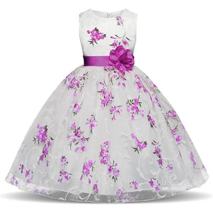 Baby Princess Dresses