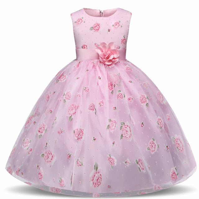 Baby Princess Dresses