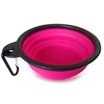 Collapsible Dog Bowl