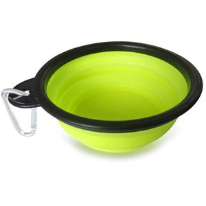 Collapsible Dog Bowl